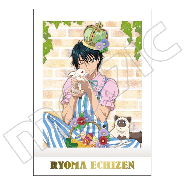 新テニスの王子様 ぱしゃこれ: トレーディングカード｜ムービック（movic）