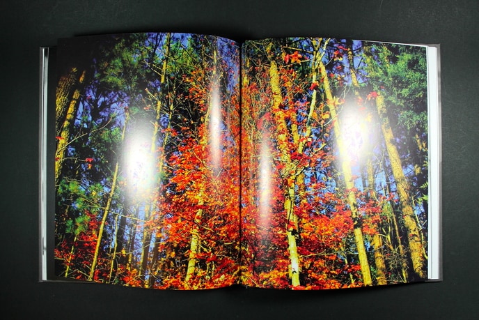 Norman Reedus - The Sun's Coming UpLike a Big Bald Head