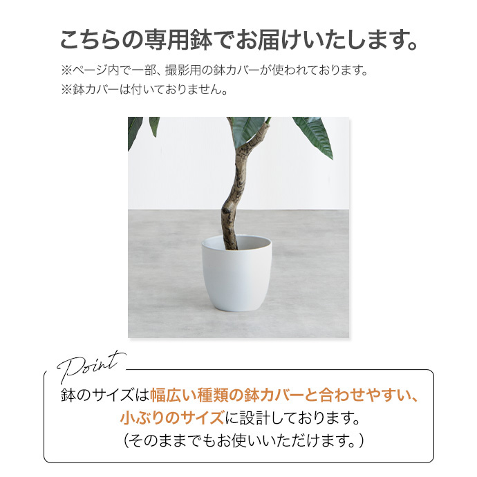 g162014]【高さ150cm】Nature 光触媒人工観葉植物 オリーブ 観葉植物