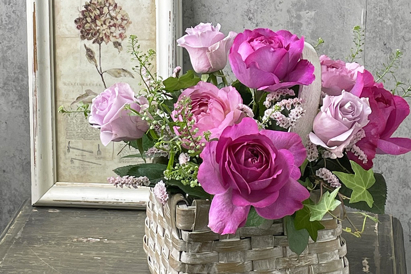 入園無料「練馬区立 四季の香ローズガーデン」で春バラフェス