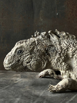 イグアナ by 水田典寿 | Art Scenes | Find and collect your favorite art