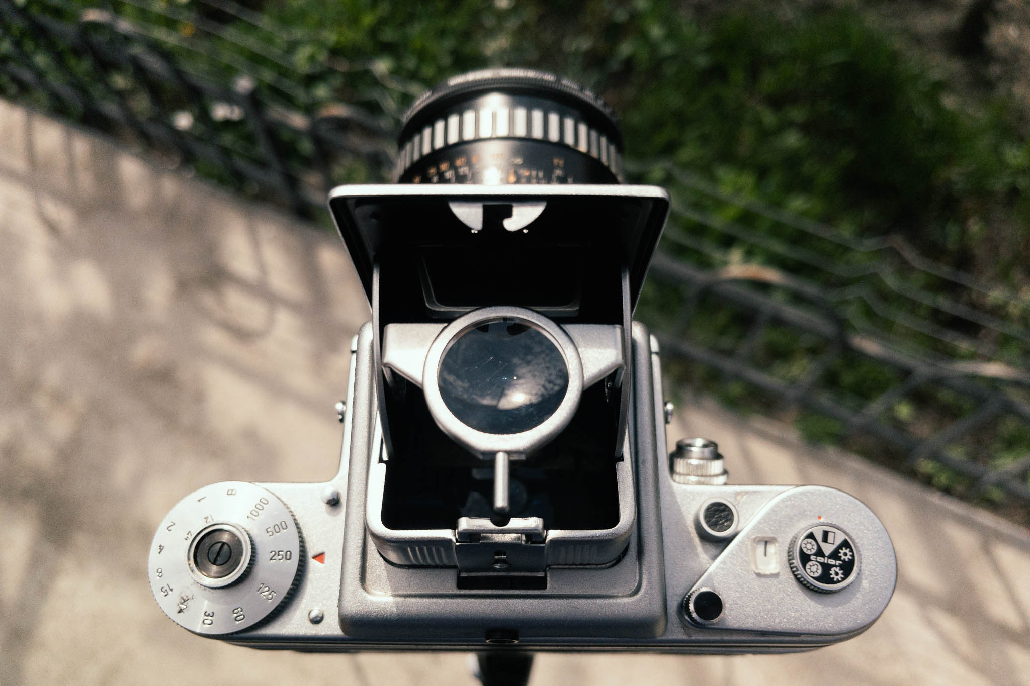 Lessons from my first two rolls with the Pentacon Six TL - Dan Pandrea