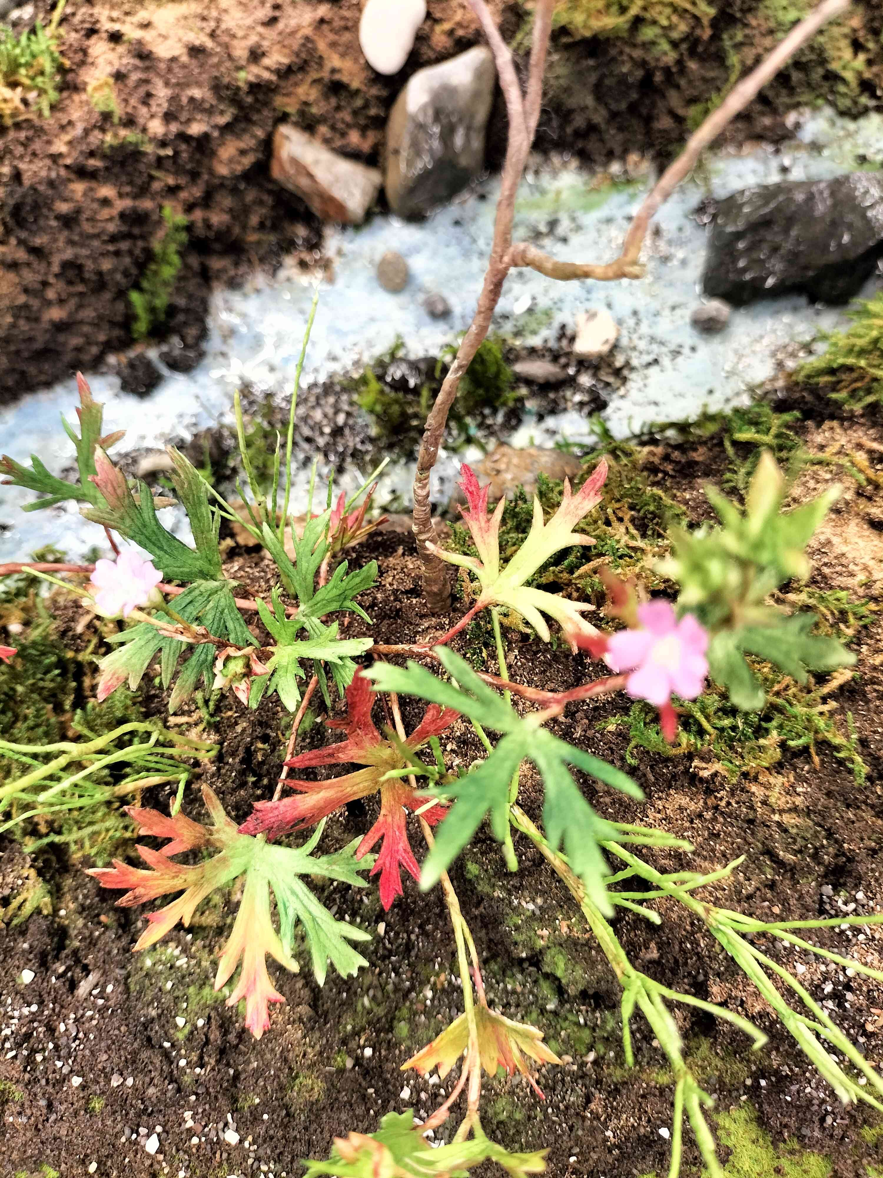 摘み花 教室展｜🍀GreenSnap（グリーンスナップ）