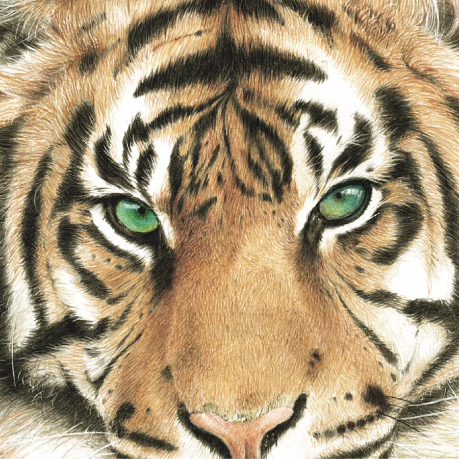 大額オンラインショップ / 虎