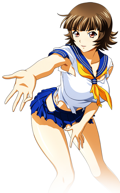 ふじさわ セル P真・一騎当千 桃園の誓い 中古 無加工 ディ・ライト P