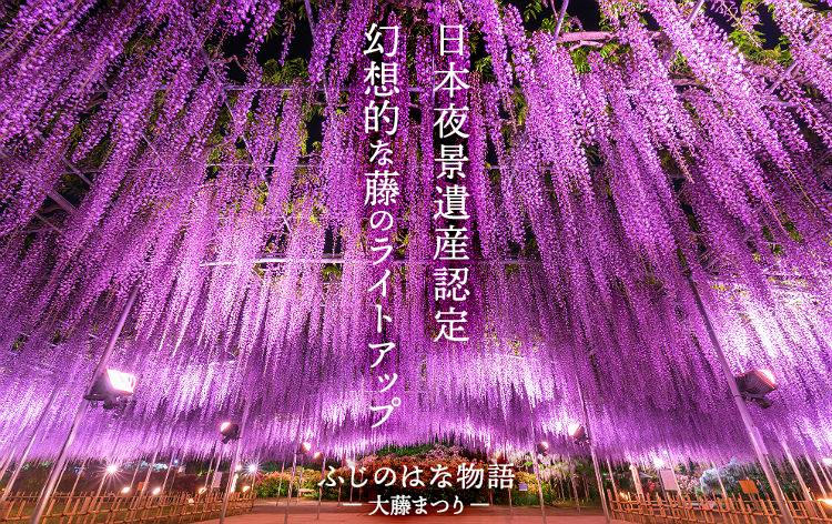 首都圏発 日帰り・宿泊バスツアー【HIS】