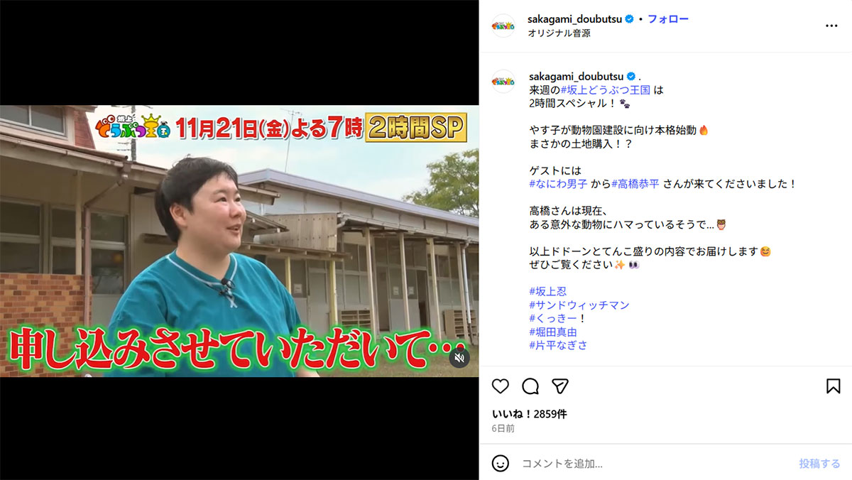 画像・写真1/10）やす子 動物のため「ハッピーランドを作りたい」総