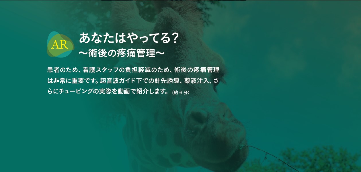 運動器エコーのメタ診療｜動画ライブラリ