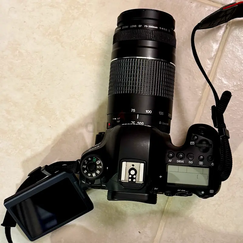 Canon 6D Mark II + EF 75-300mm Lens | dubizzle Dubai