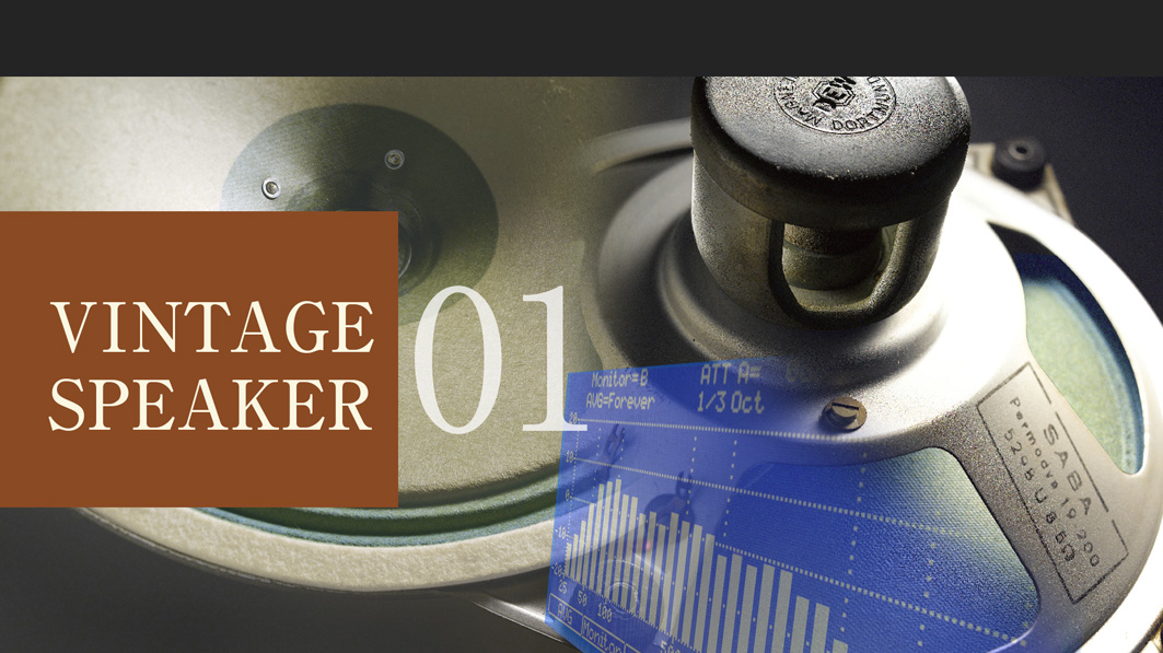 SABA Permadyn 19 200 5298U8 5Ω - ヴィンテージ・スピーカーで