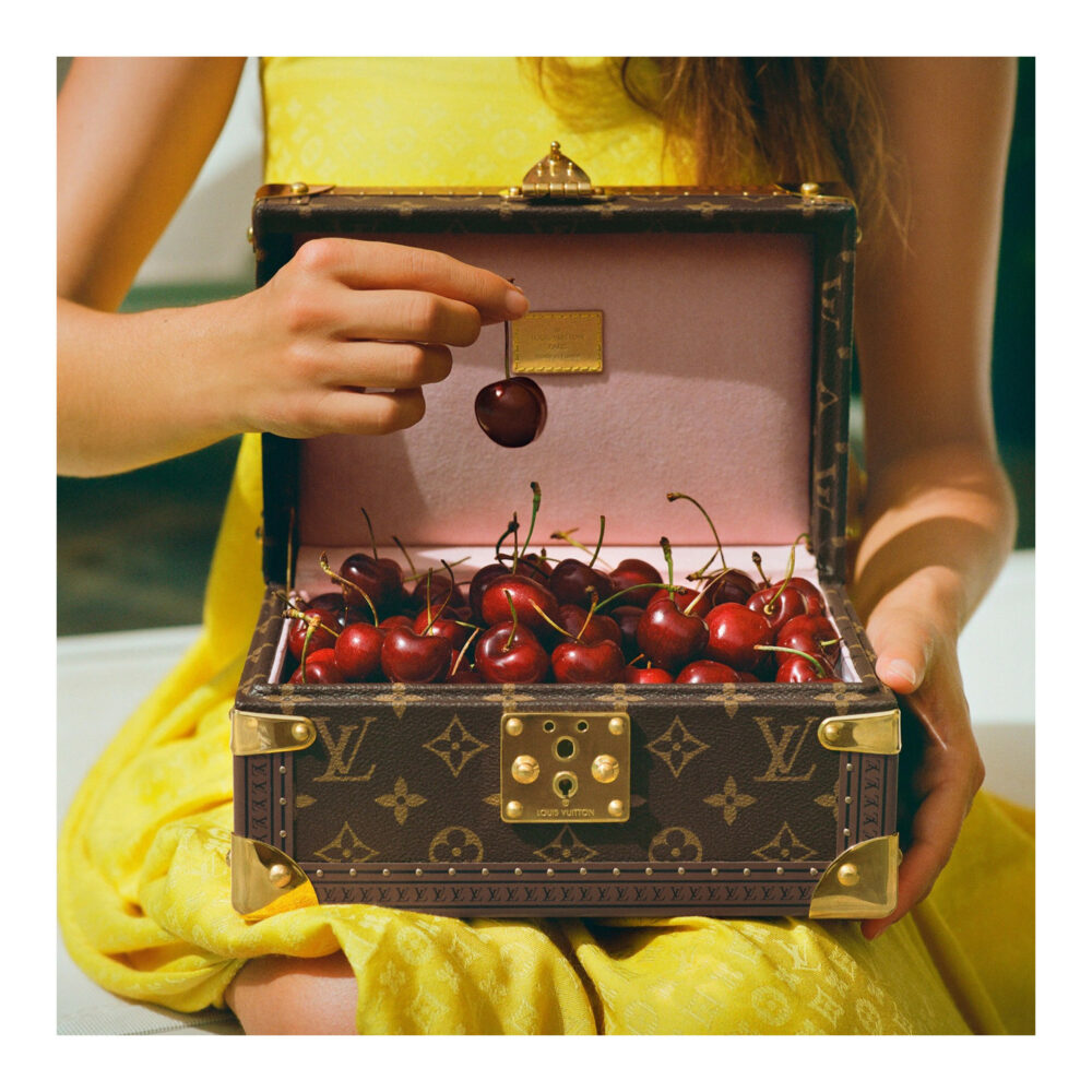 genuine (NEW) Louis Vuitton coffret trésor 24 trunk – Deluxe Life