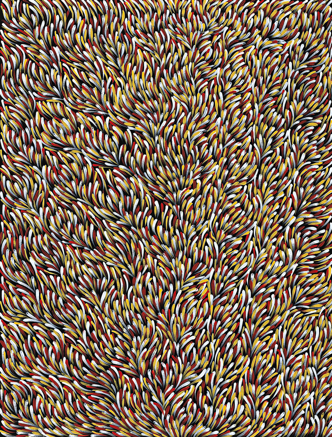 Aboriginal Art Painting 09C020, Gloria Petyarre, 2009 – Delmore