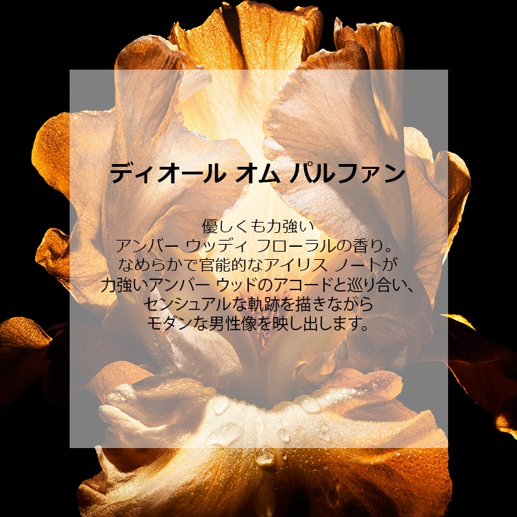 ディオール オム パルファン 50mL:ディオール(DIOR)の通販｜DEPACO