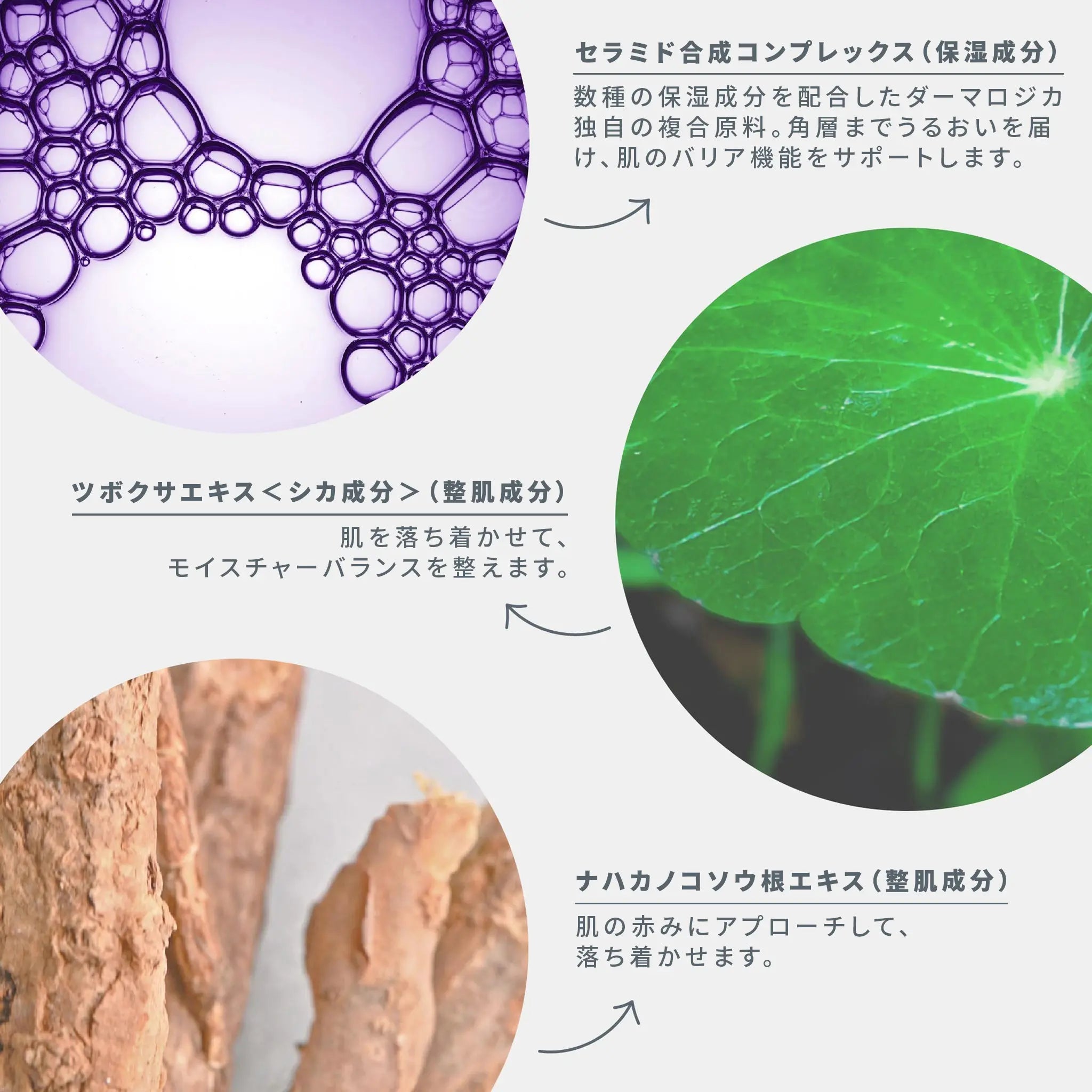 スタビライジング R クリーム — ダーマロジカ公式オンラインショップ