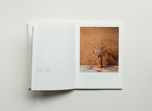 古書古本 dessin：Michael Borremans: The Advantage（ミヒャエル