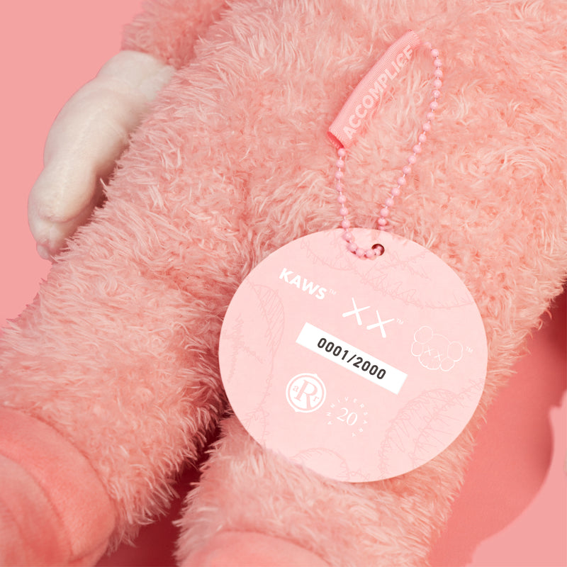 KAWS ACCOMPLICE PLUSH – DDTStore