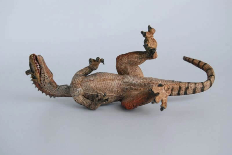 クリオロフォサウルス（Papo）レビュー | 大人の恐竜模型館