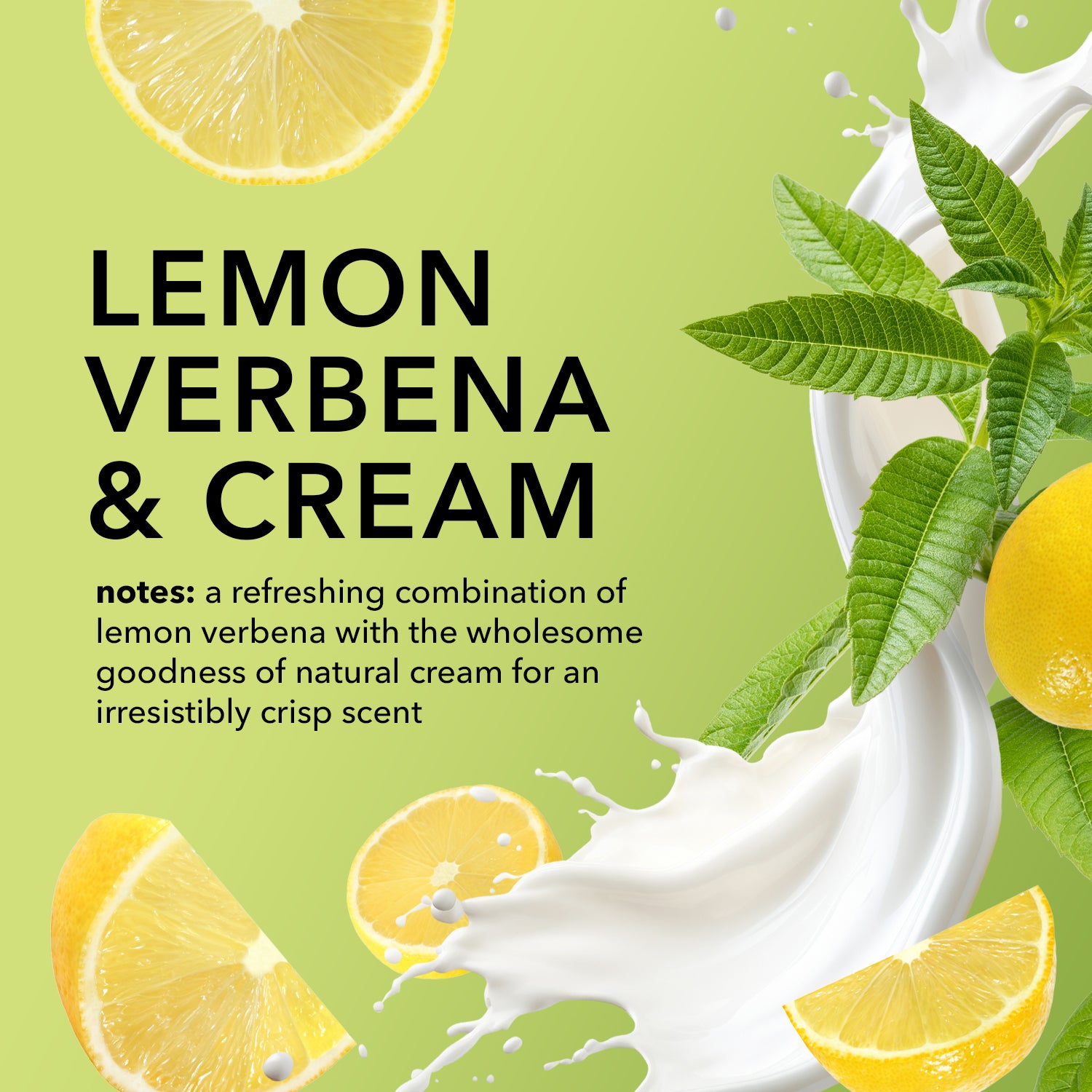 Lemon Verbena & Cream Goat Milk Body Lotion Bundle • Dionis Goat