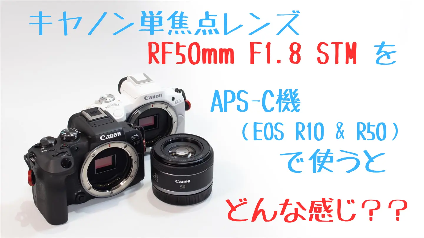 RF50mm F1.8 STMをAPS-C機で使うとどんな感じ？ | digi-cam.net
