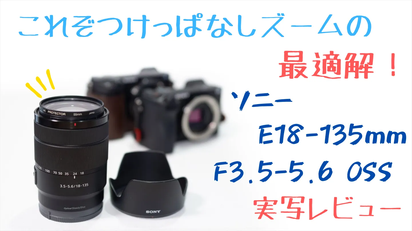 最初の1本】Sony E 18-135mm F3.5-5.6 OSS レビュー｜つけっぱなし