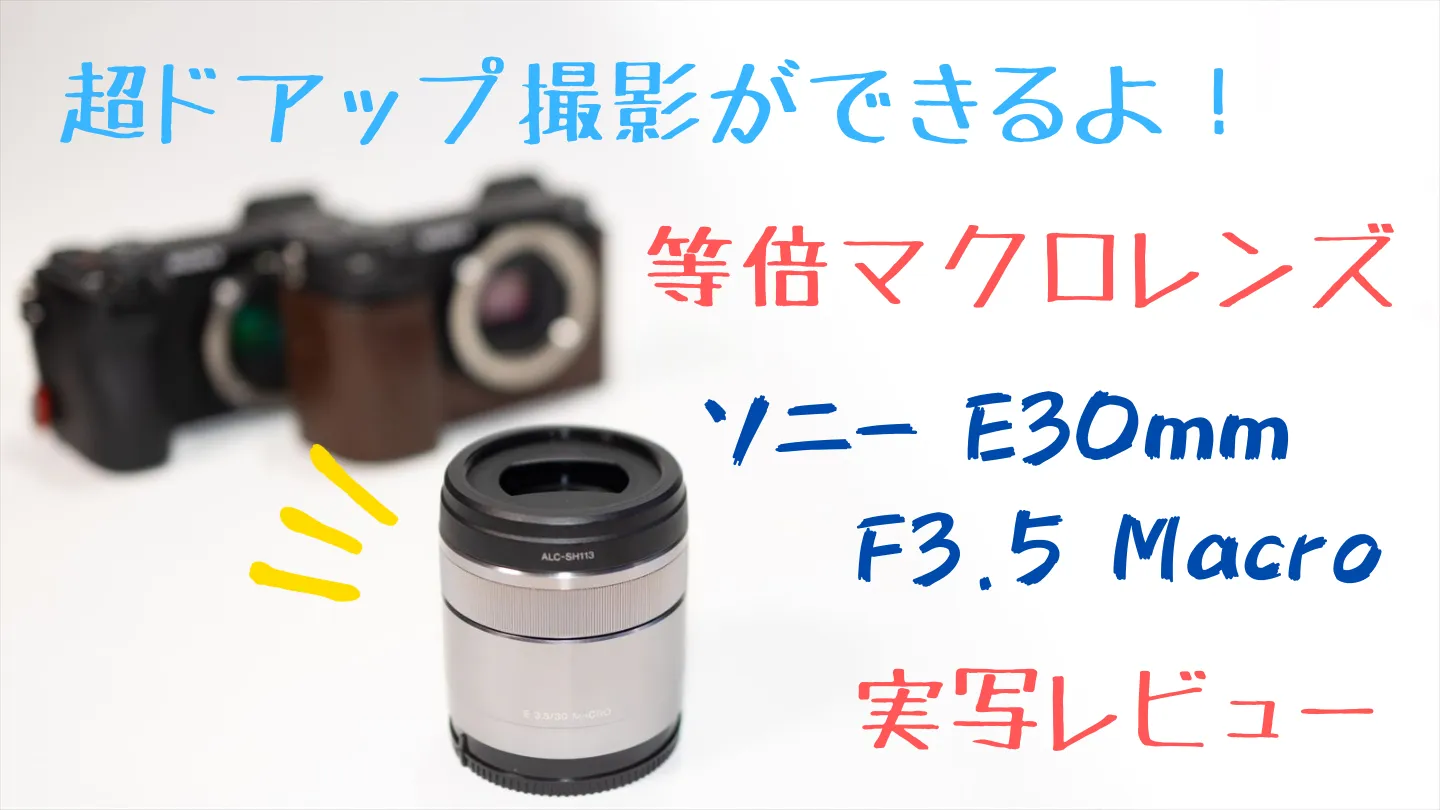等倍マクロ】Sony E 30mm F3.5 Macro レビュー｜α6400/ZV-E10で