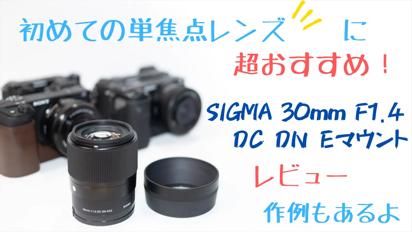 初めての単焦点レンズに絶対おすすめ！SIGMA 30mm F1.4 DC DNレビュー