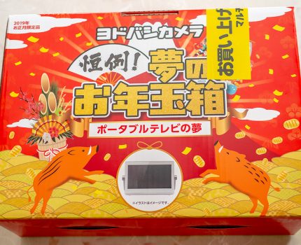 ヨドバシカメラ初売りで夢のお年玉箱をゲット ポータブルテレビの夢で