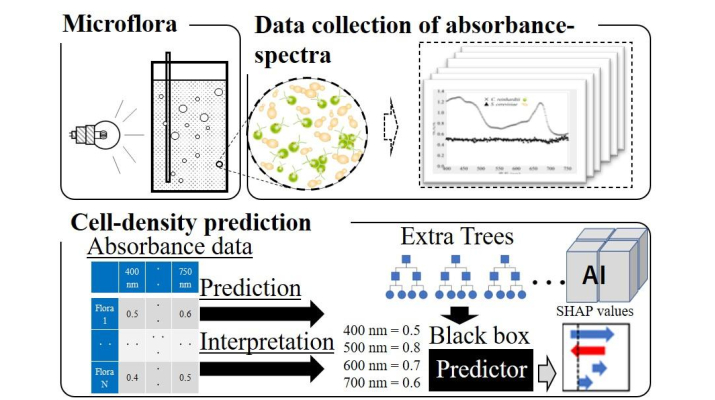 AIを用いた微生物混合液の各細胞密度の簡便な解析手法を開発 バイオ