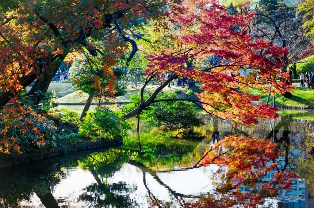 CONTAX Carl Zeiss Vario-Sonnar T* 80-200mm F4 MM ◇レビュー