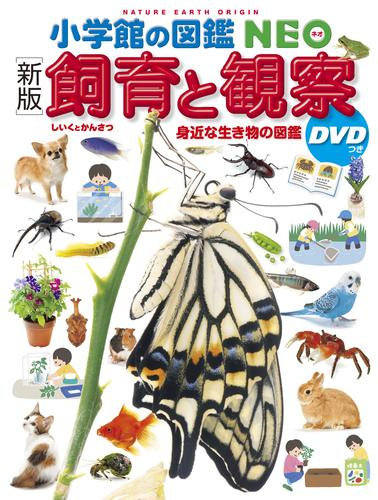 小学館の図鑑NEO+DVDセット (全26冊) | 漫画全巻ドットコム