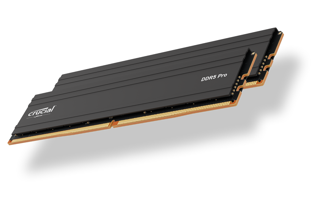 Crucial Pro 32GB DDR5 5600MHz | Scorptec Computers | Scorptec