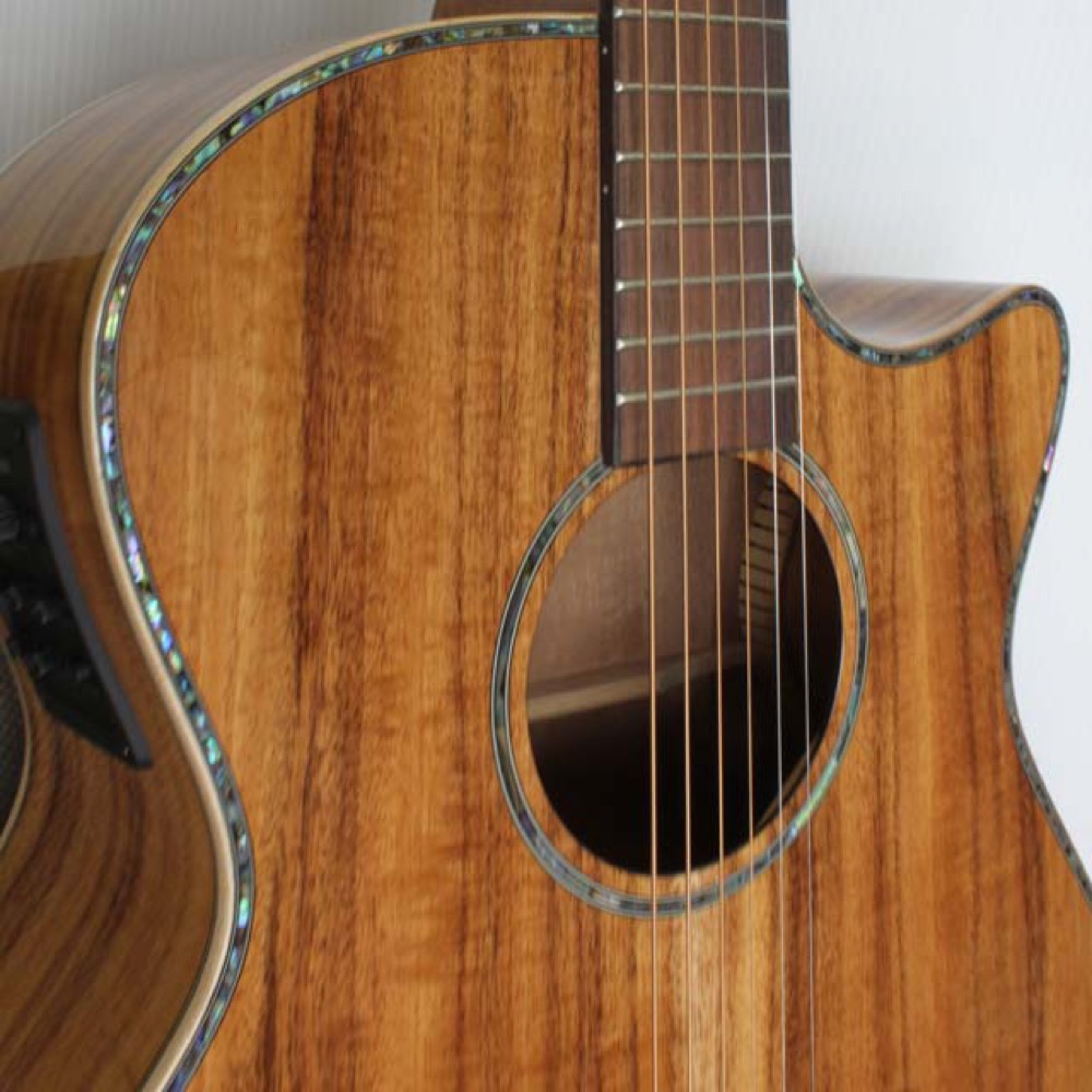 DCTより4種のエレクトリックアコースティックギターが登場