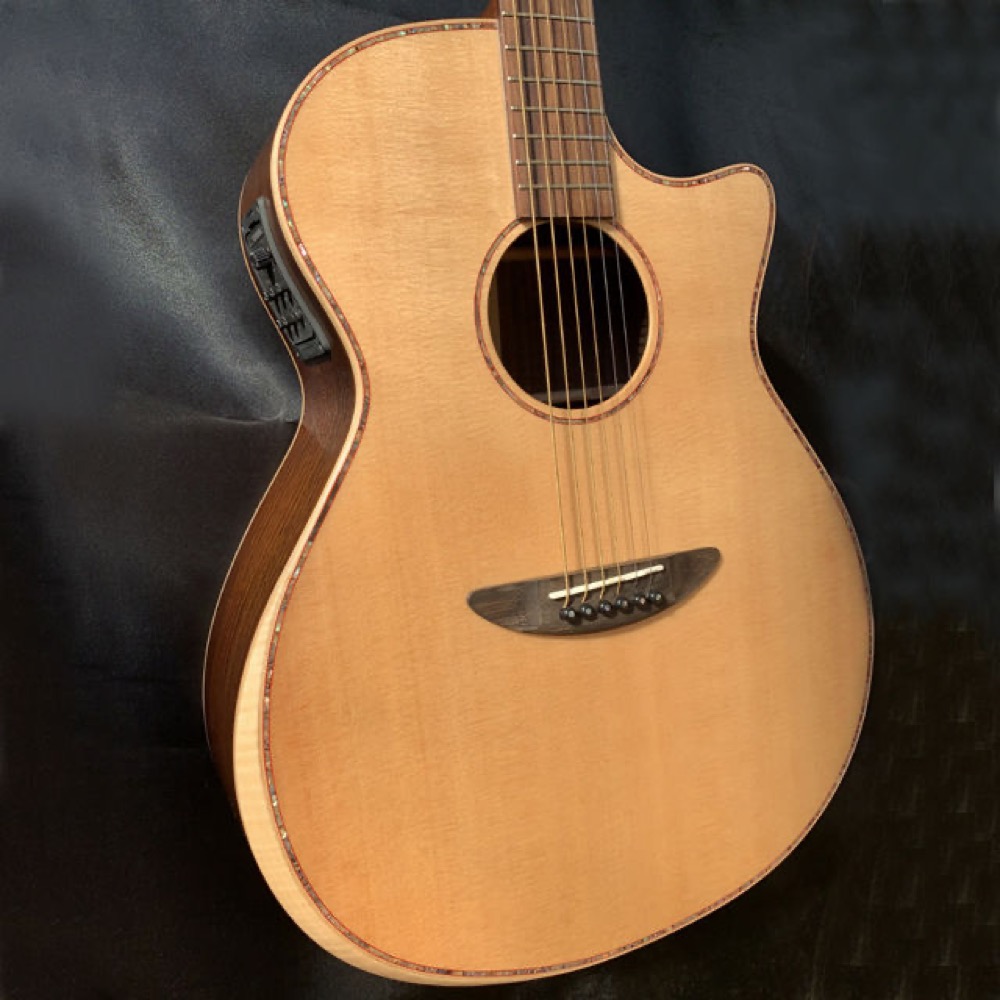 DCTより4種のエレクトリックアコースティックギターが登場