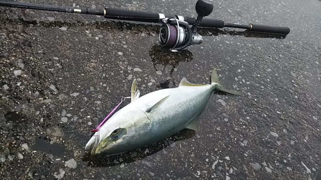 ダイワ ジグキャスターMX 96M をレビューしてみる！【ショアジギング】