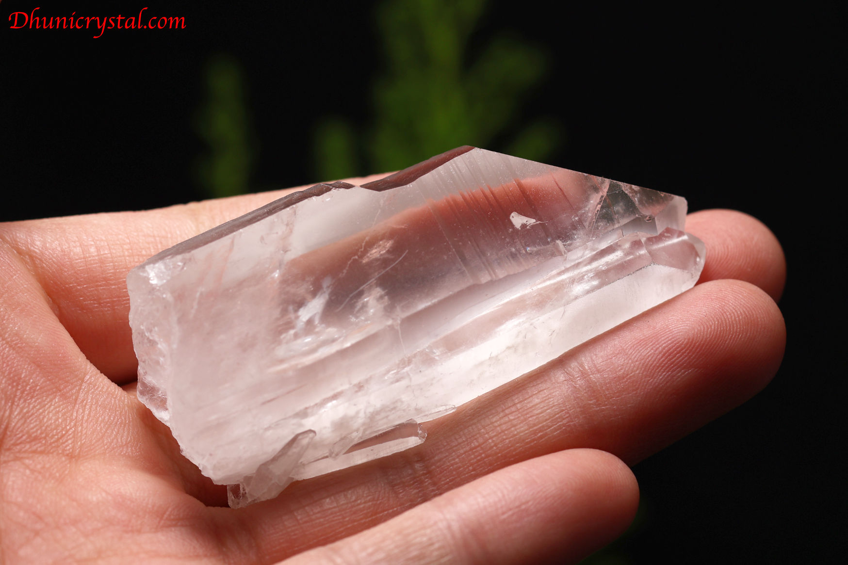 レムリアンシードクリスタル/タントリックツイン/セラドカブラル産(A110)