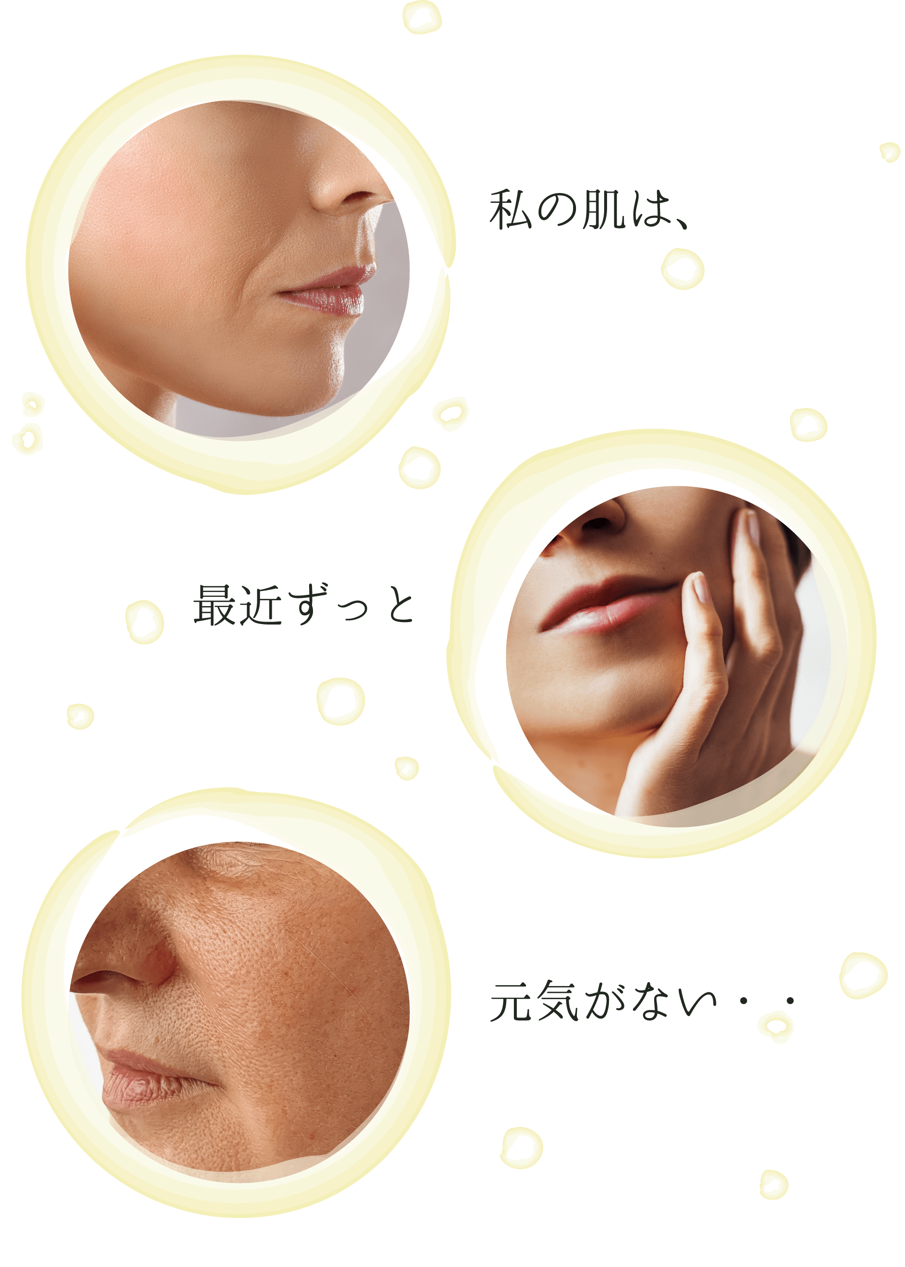 SKIN MOVE BOOSTER｜DOC Skincare｜肌のチカラを高め、肌を育む。自宅