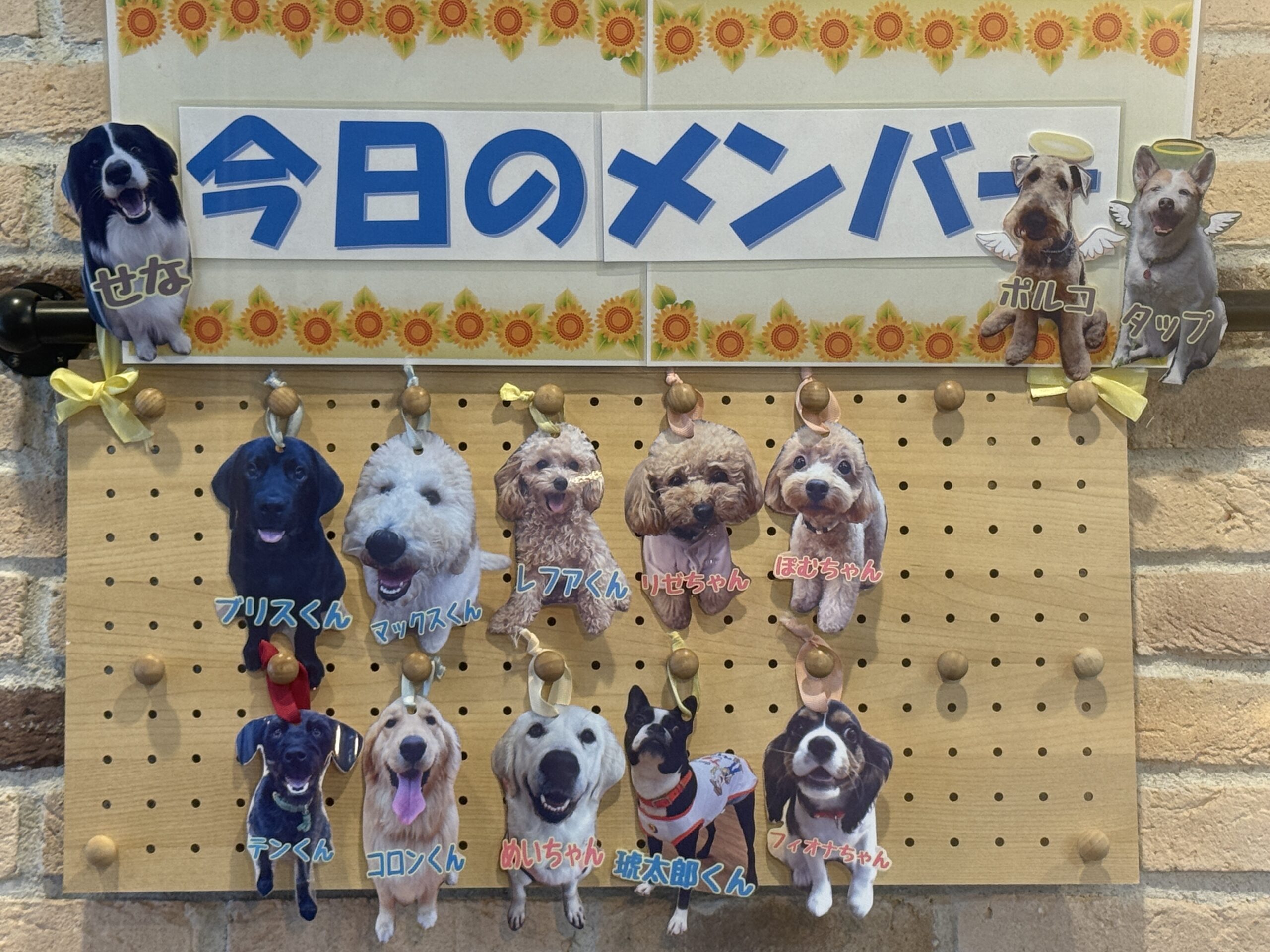 ゴールデンやラブたち！ | ドギー・ワンダーランド