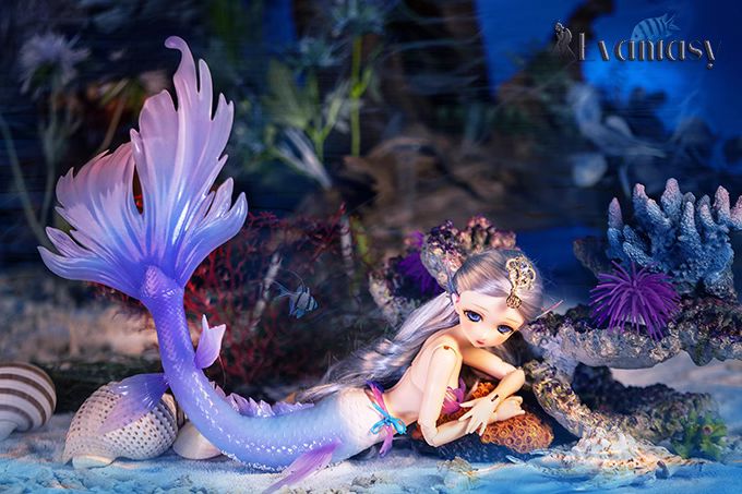 数量限定10%OFF】蓝雾 美人鱼 Fullset｜DOLK（ドルク）