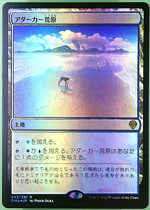 DMU)アダーカー荒原(F)/ADARKAR WASTES | (FOIL)神話レア・レア