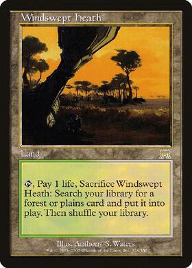 吹きさらしの荒野/WINDSWEPT HEATH 商品検索 | ドラゴンスター