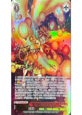 BT】FAIRY TAIL 100年クエスト 商品検索 | ドラゴンスター | ヴァイス