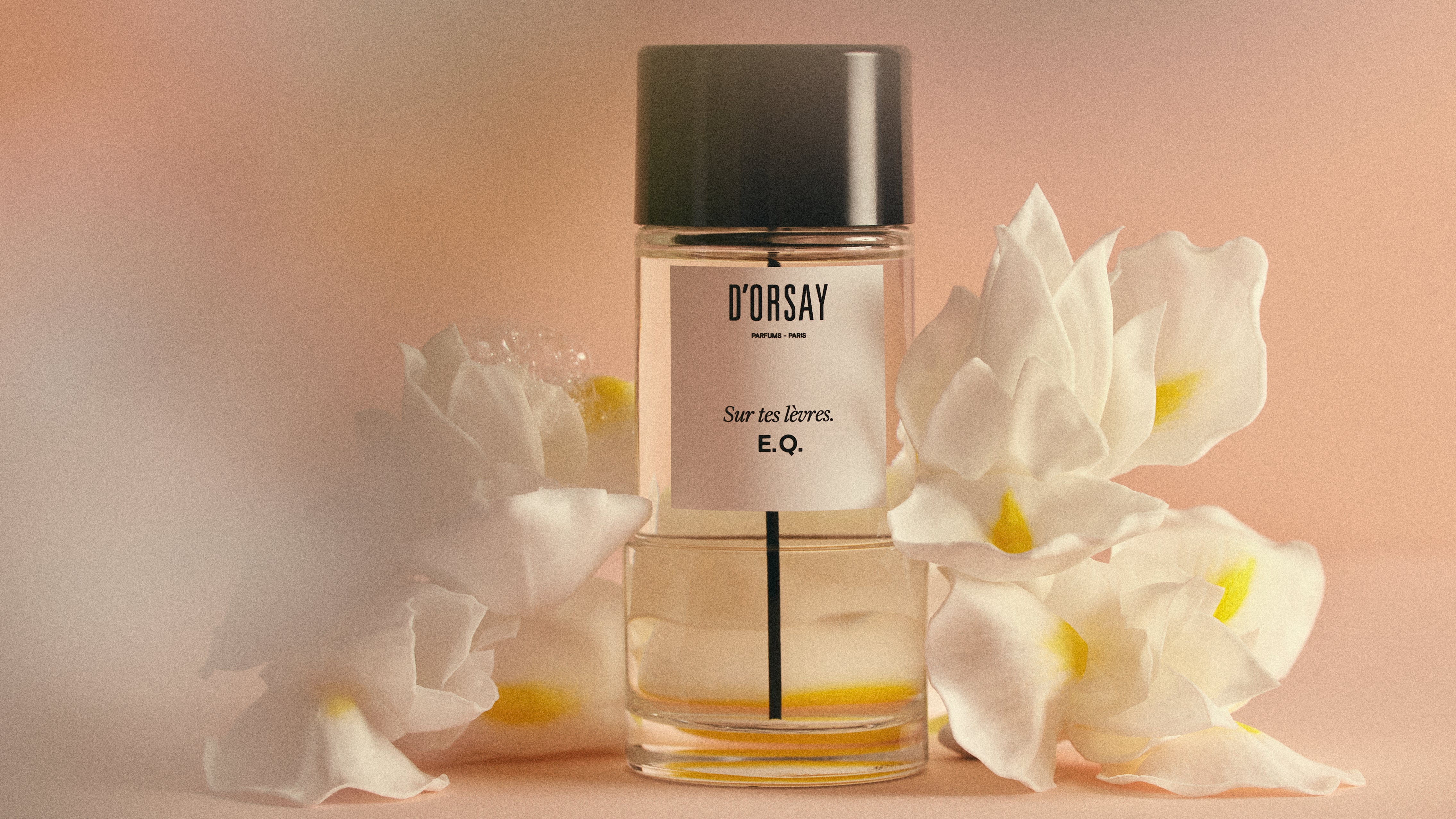 O.W. トラベルエディション- ドルセー ジャパン (d'Orsay Japan