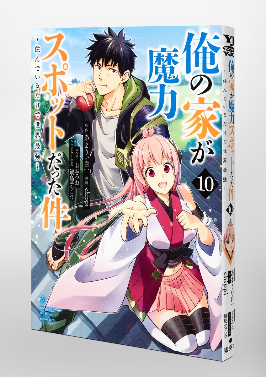 俺の家が魔力スポットだった件～住んでいるだけで世界最強～ 10