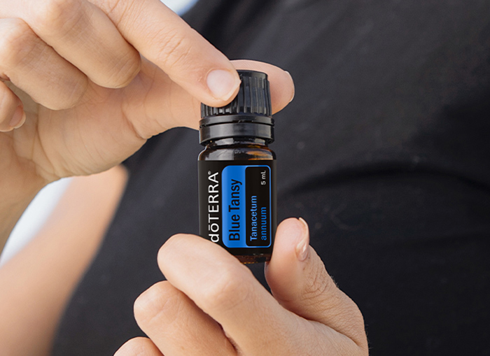 Blue Tansy Oil | doTERRA Essential Oils