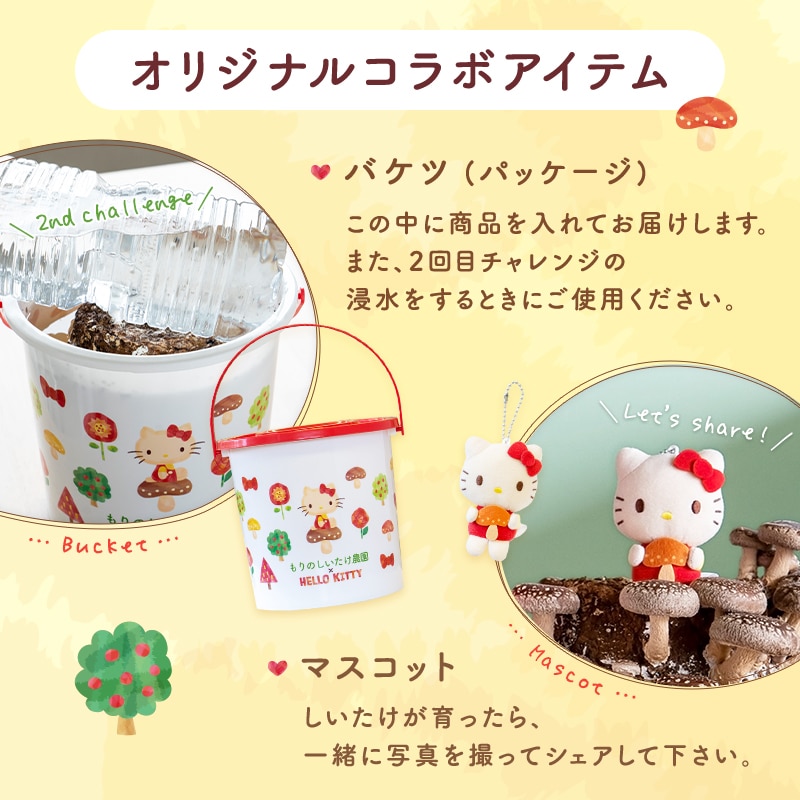 dショッピング |もりのしいたけ農園×HELLO KITTY| ハローキティ キティ