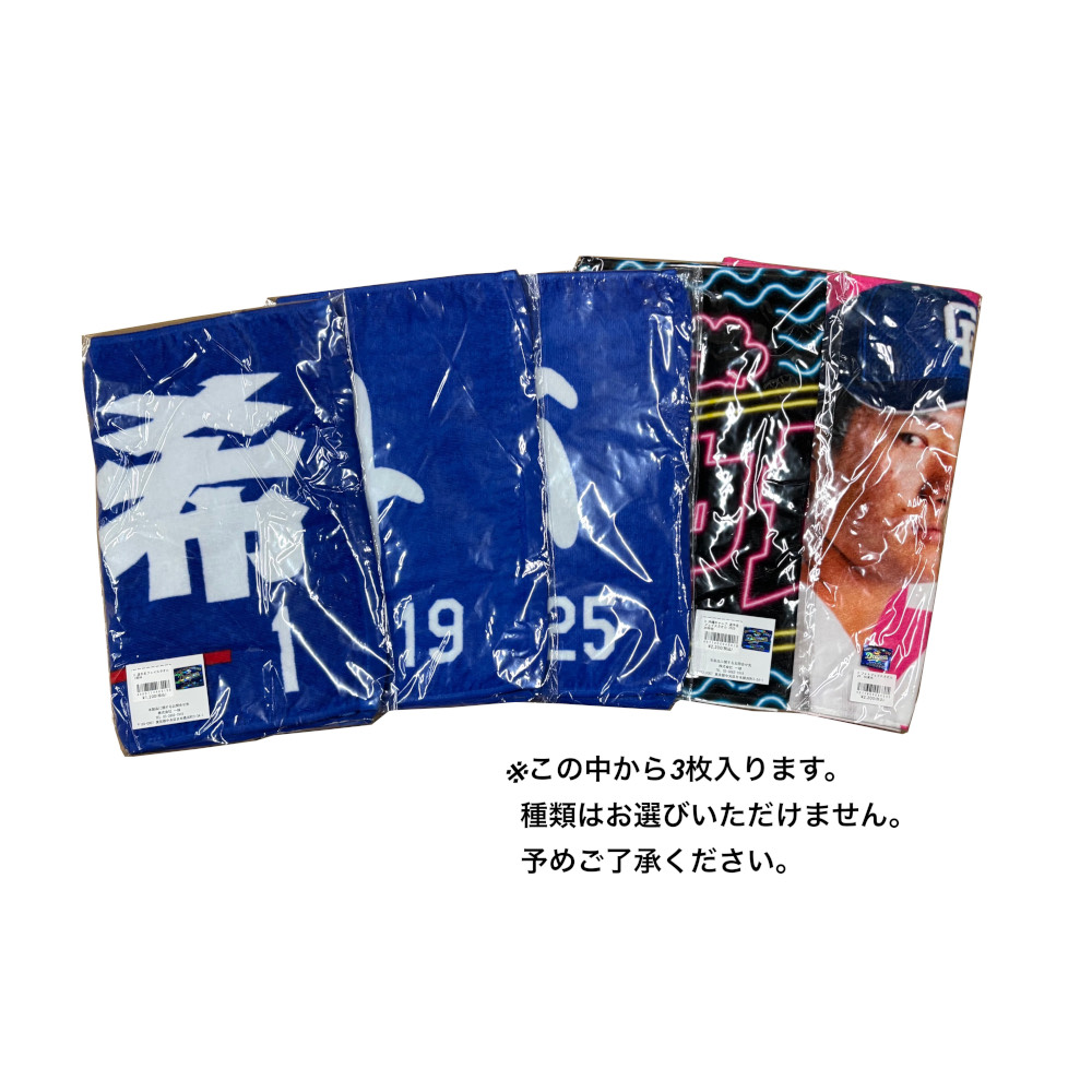 中日ドラゴンズ 福袋 2026 干支ボールなし 中日ドラゴンズ 福袋 2026
