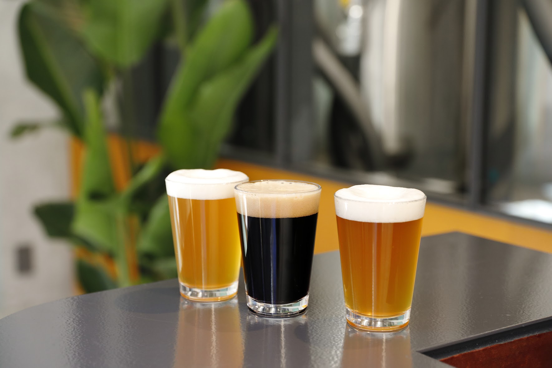 クラフトビール 山わらうエール 330ml×3本、山ねむるエール 330ml×3