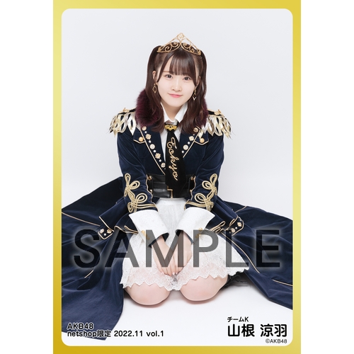 予約商品】AKB48 2022年11月度 net shop限定個別生写真5枚セットvol.1