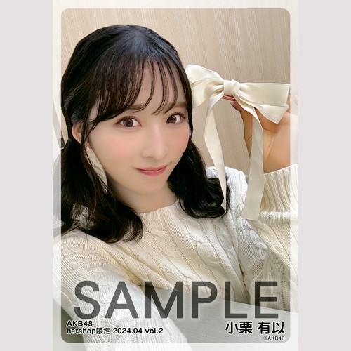 予約商品】AKB48 2024年4月度 net shop限定個別生写真5枚セットvol.2