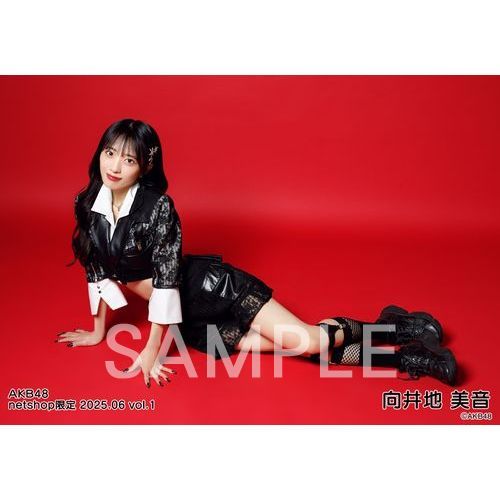 予約商品】AKB48 2025年6月度 net shop限定個別生写真5枚セットvol.1